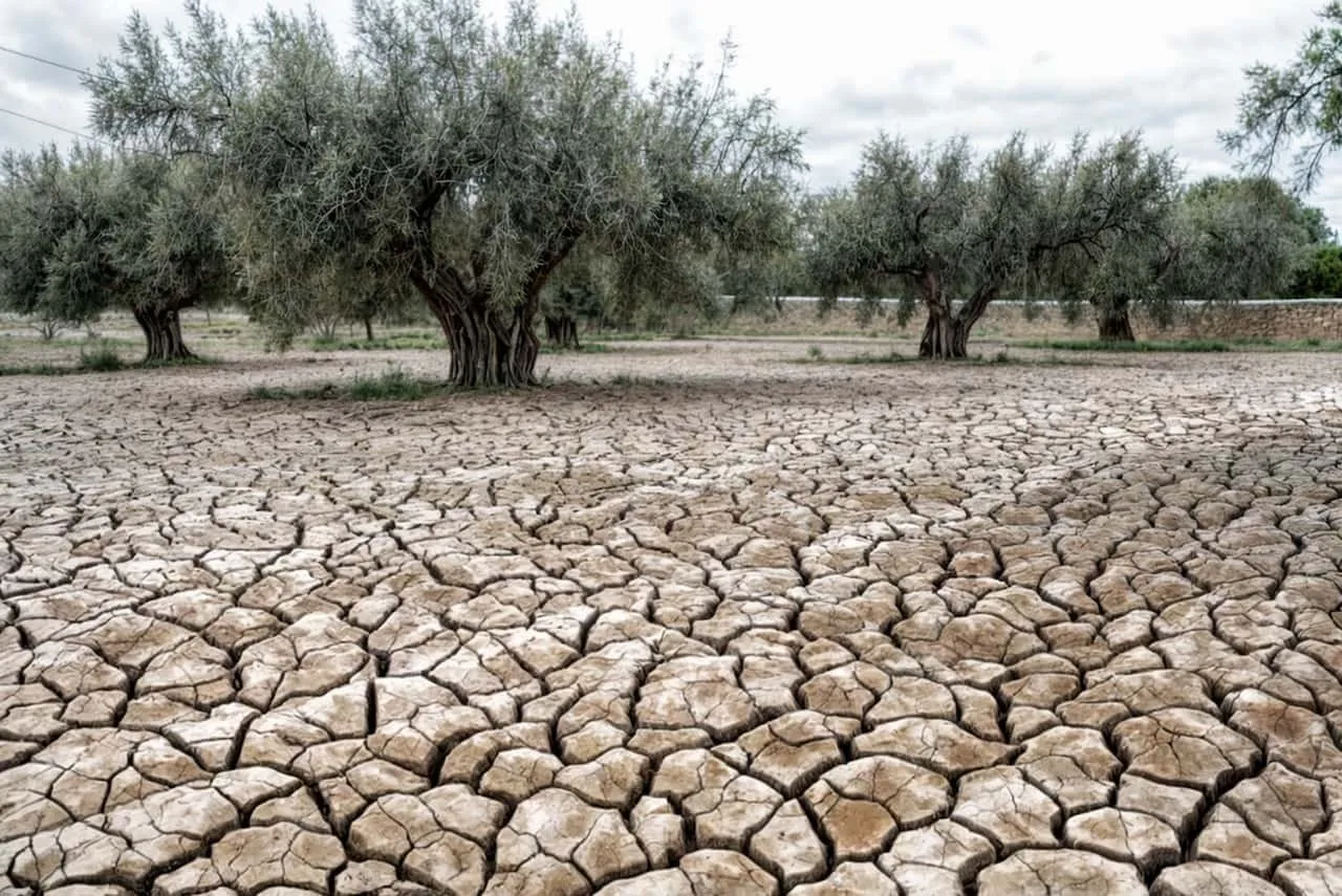 Deficiencias en el sistema de bombeo de agua