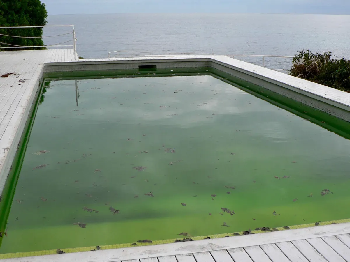 El mantenimiento de la piscina