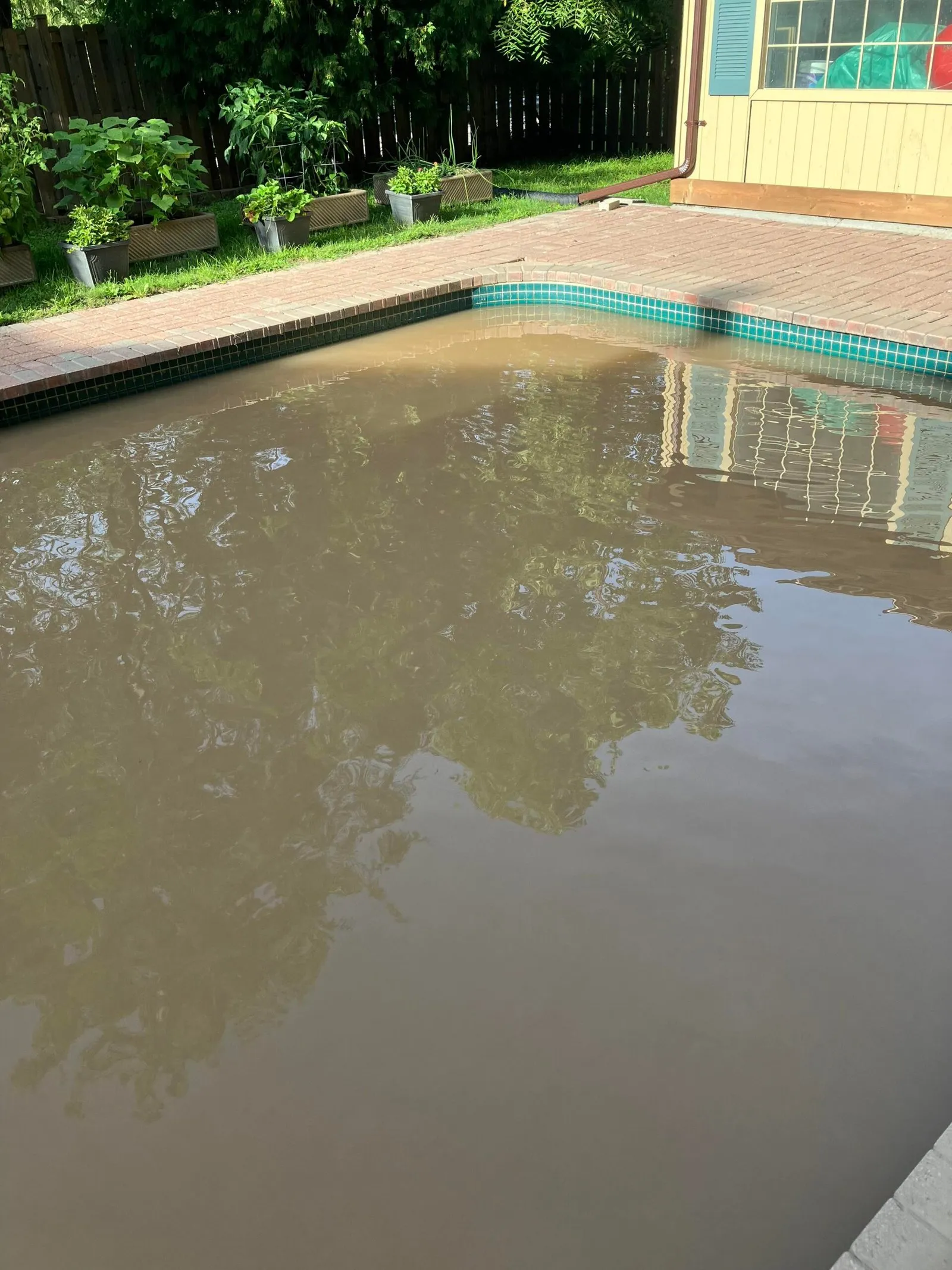 El mantenimiento de la piscina